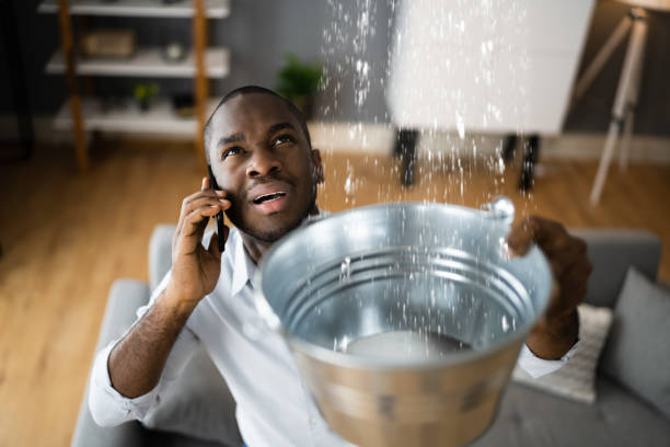 Best Flood damage cleanup  in Oakland, PA