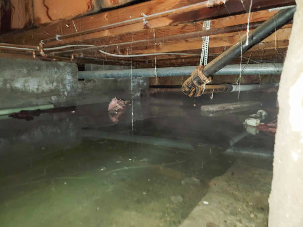 Best Water damage cleanup near me  in Oakland, PA