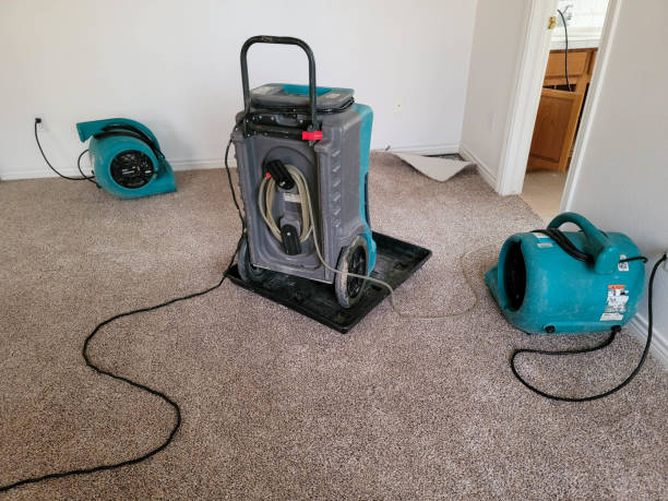 Best Flooded house restoration  in Oakland, PA