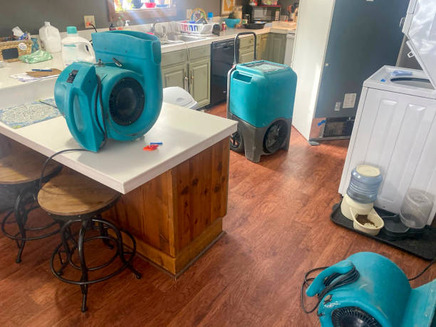 Best Professional water damage repair  in Oakland, PA
