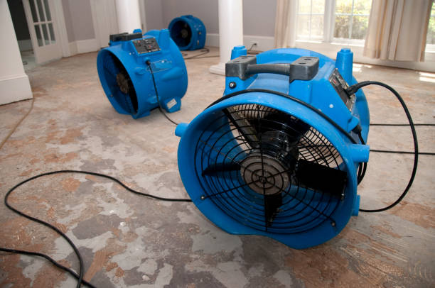 Best Flood restoration services  in Oakland, PA