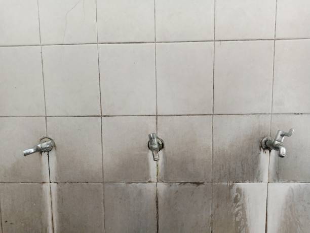 Best Flood restoration services  in Oakland, PA