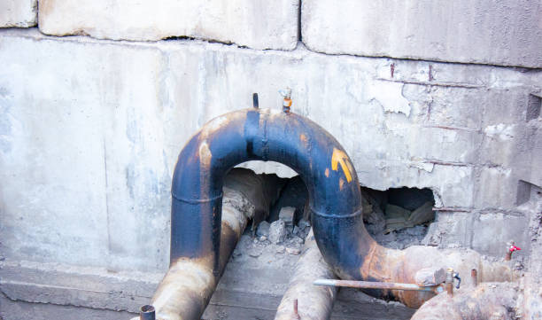 Best Mold removal after water damage  in Oakland, PA
