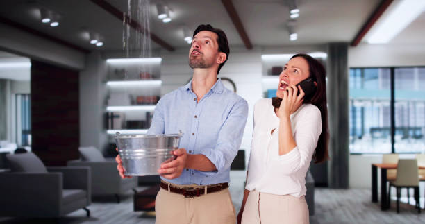 Best Local water damage restoration  in Oakland, PA